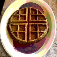 An acorn hemp seed waffle with blended fruit, yogurt and honey topping.